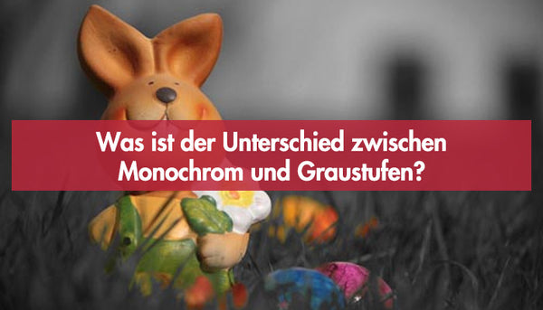 Was ist der Unterschied zwischen Monochrom und Graustufen?