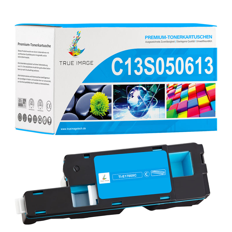 Epson C13S050613